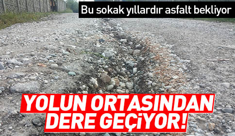 Yolun Ortasından Dere Geçiyor