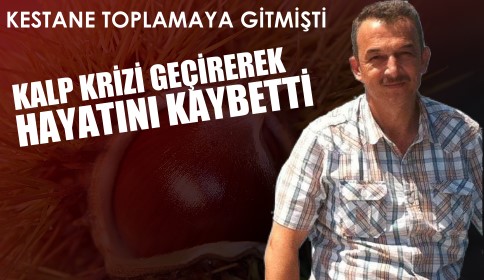 Kestane Toplamaya Gittiği Dağda Hayatını Kaybetti