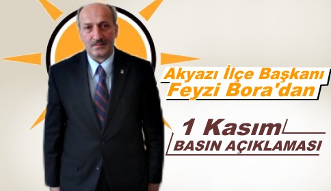 Feyzi Bora 1 Kasım Seçim Değerlendirmesi