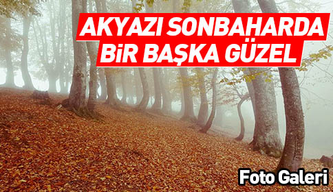 Akyazı Sonbaharla Renklendi