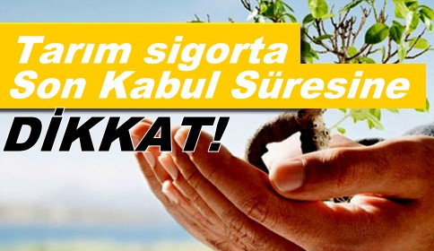 Tarımda sigorta son kabul sürelerine dikkat!