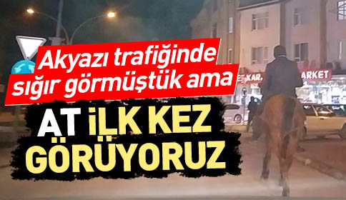 Akyazı Trafiğinde SIĞIR Görmüştük Fakat AT İlk Oluyor ( VİDEO )