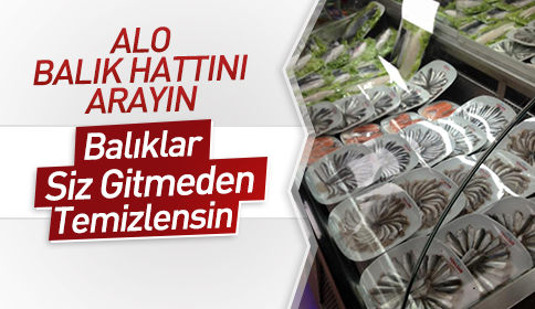 ALO BALIK HATTINI ARAYIN, Balıklar siz gitmeden temizlensin