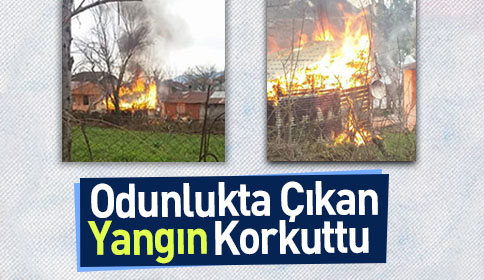 Odunlukta Çıkan Yangın Korkuttu