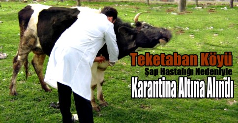 Hayvan Giriş Çıkışı Yasaklandı