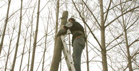 Eskiyen Telefon Direkleri Yenileniyor