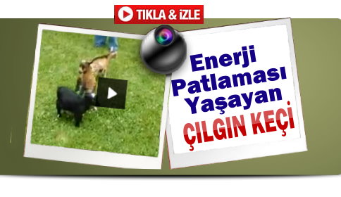 Enerji Patlaması Yaşayan Çılgın Keçi!