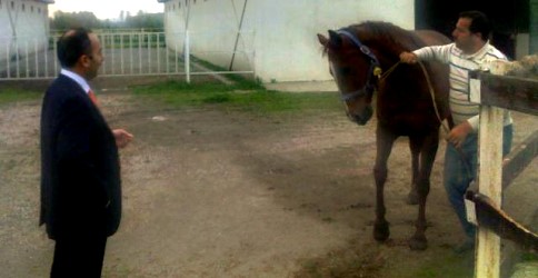 İl Tarım Müdüründen Akyazı Ziyareti