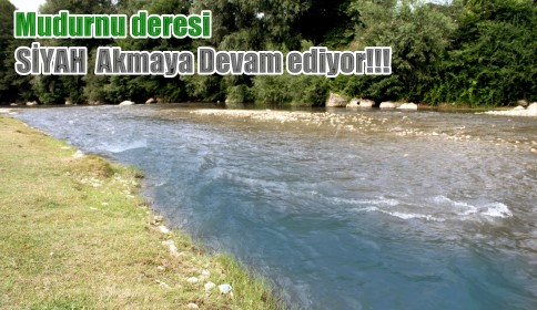 Mudurnu Deresi Sahipsizmi