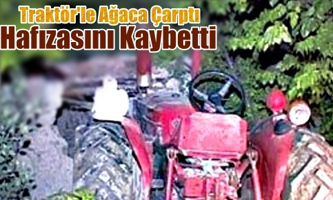 TRAKTÖRLE AĞACA ÇARPTI