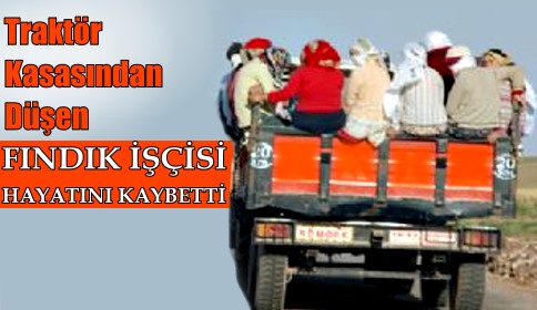 Traktör Kasasından Düşen Fındık İşçisi Hayatını Kaybetti