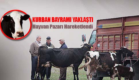 Hayvan Pazarında Hareketlilik Başladı!