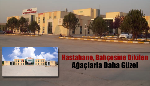 Hastahane, Bahçesine Dikilen Ağaçlarla Dahada Güzel!