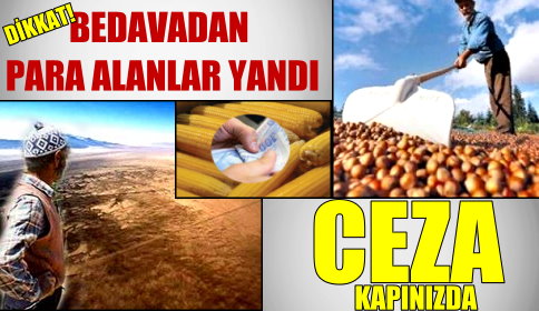 Bedavadan Para Alanlar Yandı