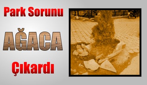 Park Etmek İçin Bariyerin Üstüne Çıktı.