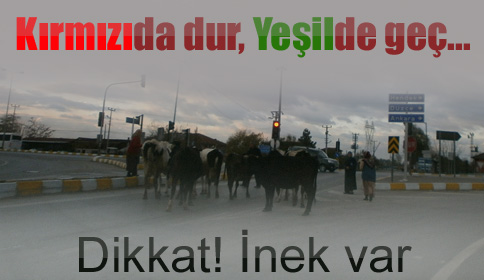 Kırmızıda Dur Yeşilde Geç