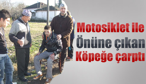 Motosikletle Köpeğe Çarptı