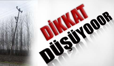 Direği teller havada tutuyor