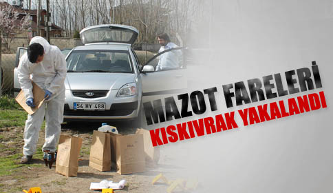 Mazot Fareleri Kıskıvrak Yakalandı