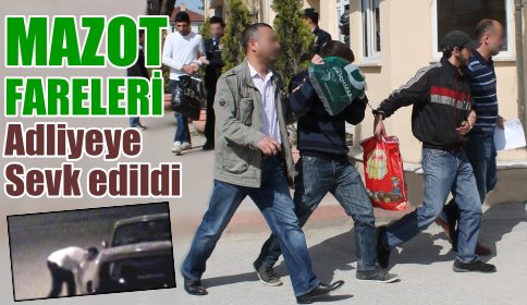 Mozot Fareleri Adliyeye Sevk Edildi