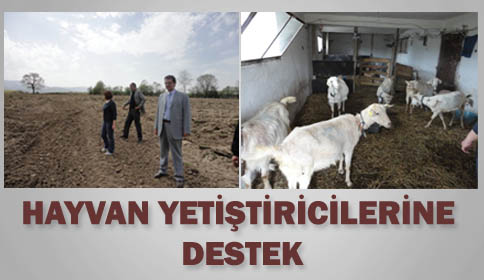Hayvan Yetiştiricilerine Destek!