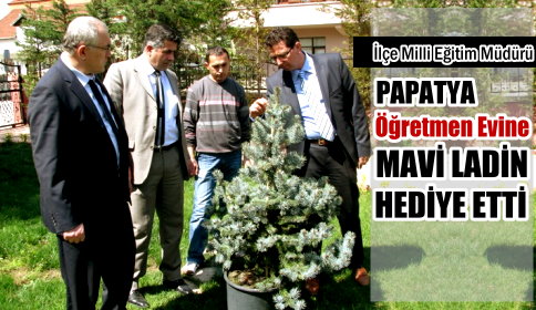 Papatya’dan Öğretmenevi Bahçesine Mavi Ladin