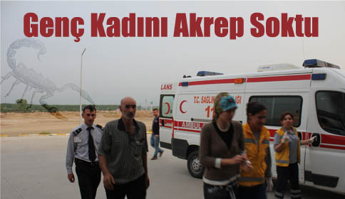 Akrep’in Soktuğu Bayan Tedavi Altına Alındı!