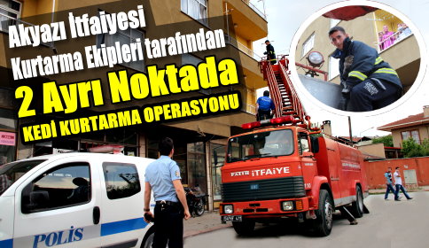 İki Ayrı Nokta da Kedi Kurtarma Operasyonu