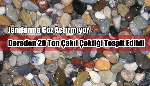Jandarma Asayiş Bülteni