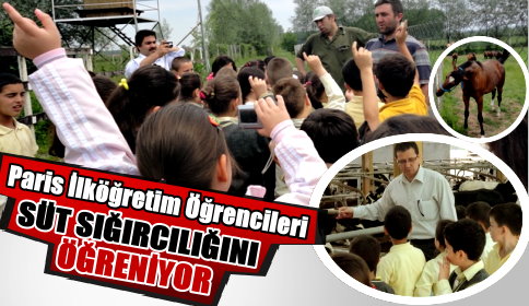 Paris İlköğretim Süt Sığırcığını Öğreniyor