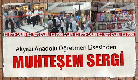 Akyazı Anadolu Öğretmen Lisesinden Muhteşem Yıl Sonu Sergisi