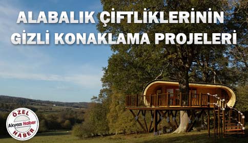 Alabalık Çiftlikleri İçin Gizli Proje
