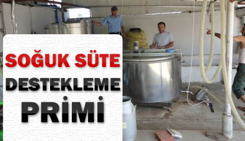 Soğuk Süte Destekleme Primi