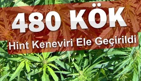 Akyazı İlçe Jandarma Boş Durmuyor