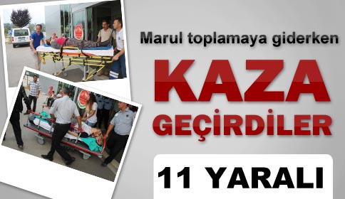 Marul Toplamaya Giderken Kaza Geçirdiler