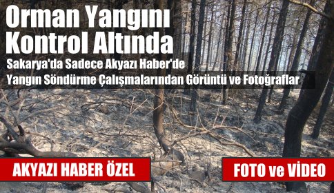 Akyazı ilçesinde çıkan orman yangını güçlükle kontrol altına alınabildi.