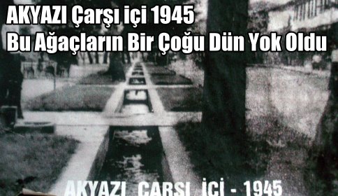 Çarşı İçerisindeki Tarihi Ağaçların Bir kısmı Kesildi