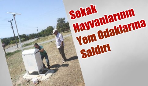 Sokak Hayvanlarının Yemlerine Göz Diktiler