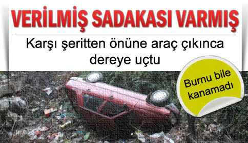 Otomobil Dereye Uçtu