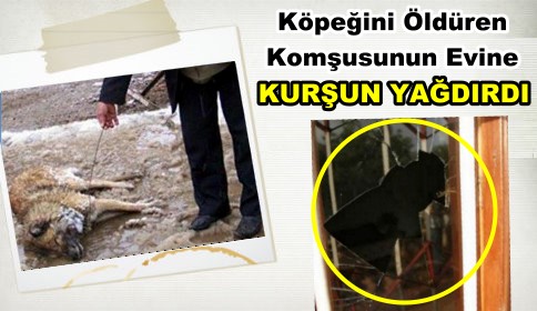 Bahçeye Giren Komşusunun köpeğini vurdu