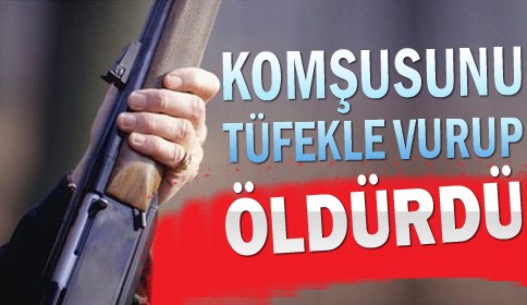 Komşusunu Tüfekle Vurdu