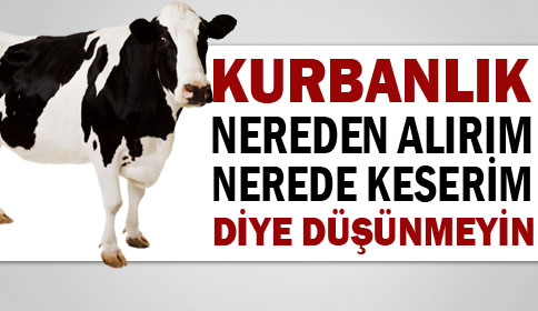 Kurbanlık Nereden Alırım Nerede Keserim Diye Düşünmeyin