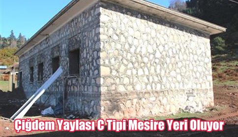 Çiğdem Yaylası C tipi mesire yeri olacak.