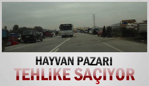 Hayvan Pazarı tehlike saçıyor
