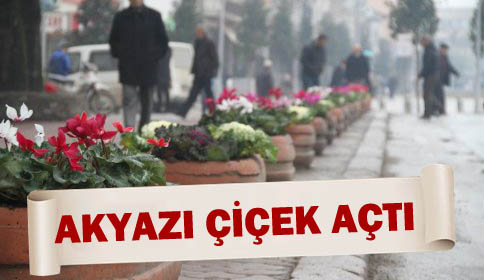 Akyazı Kışın Çiçek Açtı