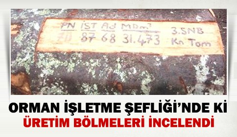 Orman İşletme Şefliğindeki Üretim Bölmeleri İncelendi