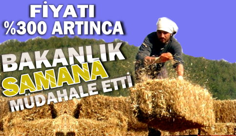 Maliyeti Düşürmek İçin Bakanlık Harekete Geçti