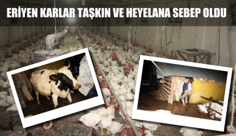 Hızla Eriyen Kar Suları Taşkın ve Heyelana Sebep Oldu