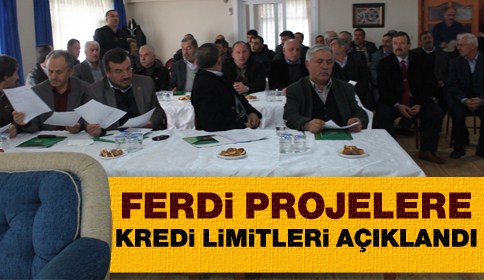 Ferdi Projelere Kredi Limitleri Açıklandı