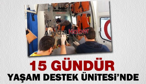 Hayata Tutunmaya Çalışıyor.